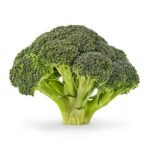 Organic green fresh broccoli